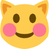 happyflushed_cat_face emote