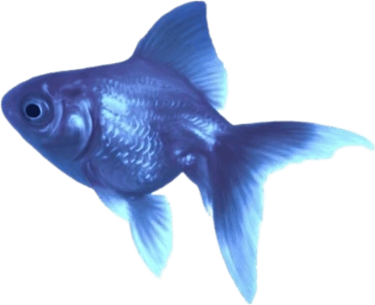 blue_fish emote