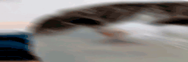 OhTheMiseryEverybodyWantsToBeMyEnemySpareTheSympathyEverybodyWan animated emote