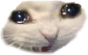 nooowhy emote