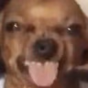 AHH emote
