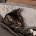 gn emote