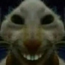 xddx emote