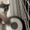 DinkDonk emote