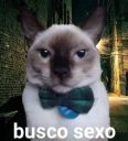buscoSexo emote