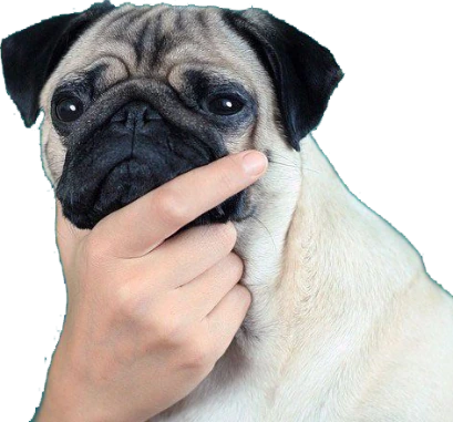 thinkingpug emote