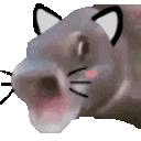 OOOOcat emote