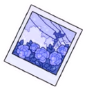 PolaroidPhoto emote