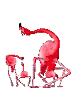 flamingoRave animated emote