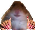 hamsterPeriodt emote