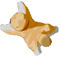 IremSpin animated emote