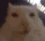 vibin emote