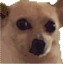 awkdisco emote