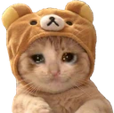 kitty_sad emote