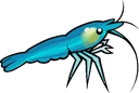 shrimpi emoji