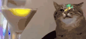 partyTime emote