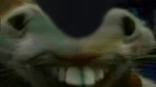 xddentge emote