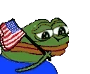 USAiguess emote