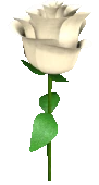 Rose_4 emote