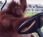 MONKESTEER emoji