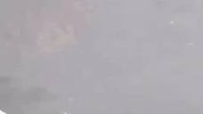 boberArrive emoji