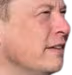 elonsus emote