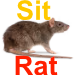 SitRat emote