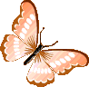 orange_butterfly animated emote