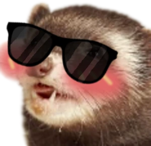 ferretsunglass emote