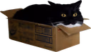 maxwellboxannoyed emote