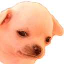 SadgeDoge emote