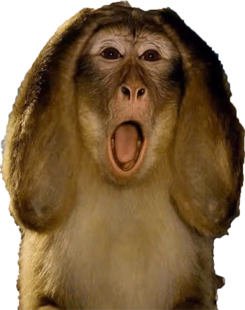 monkeypanicked emote