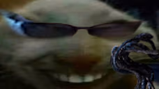 xddWesker emote