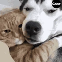 Hug emote
