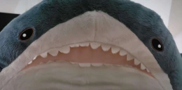 HAJ emote