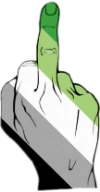 aromantic_fuck_you emote