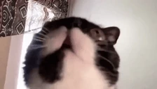 OlriteJam emote