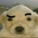 KPASA emote