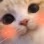 blushcat emote