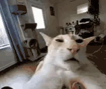 guh emote
