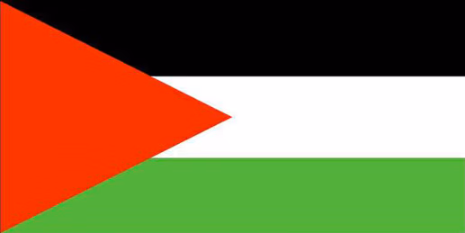 Palestine_Flag emote
