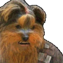 bbFaint emote
