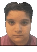 mrfentmenspinning emote