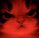 Kitty_Angry emote