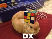 dx emote