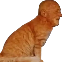 catFinger emote