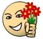 durak emote