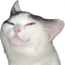 smolcat emote