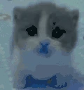 Cold emote