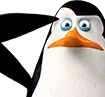 kowalski_salute emote